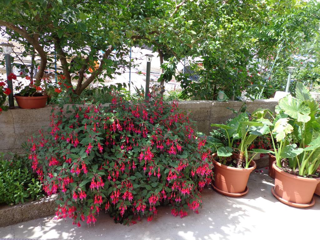 Apartments Nada Mundanije Екстер'єр фото